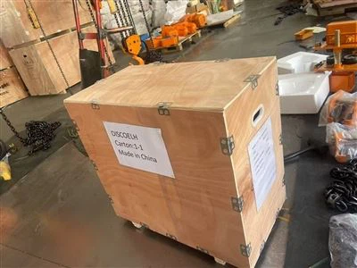 Newvision 5T підйомник електричного ланцюга відправляється в Гондурас